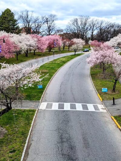 Branch Brook Park - Newark, NJ