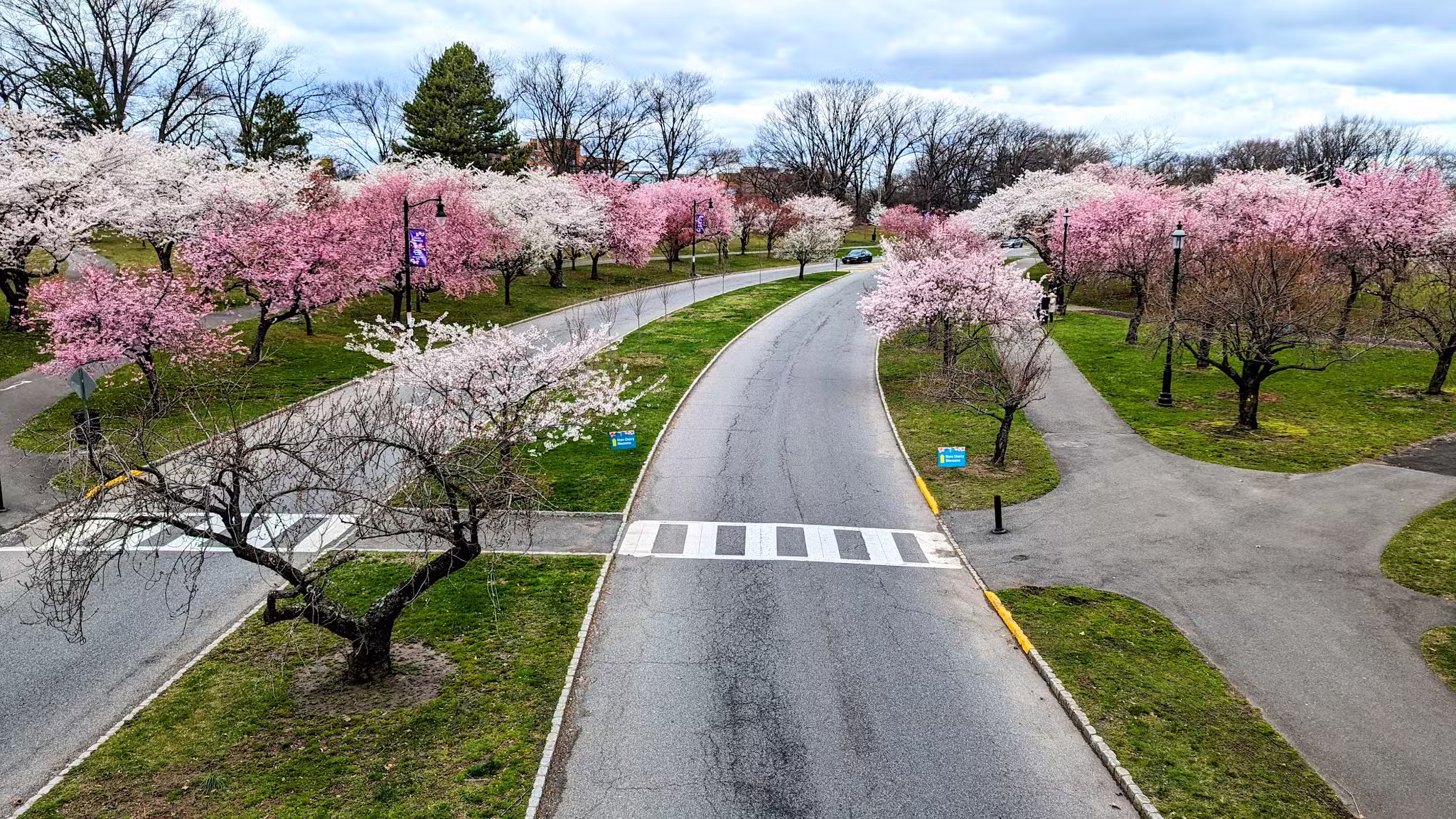 Branch Brook Park - Newark, NJ