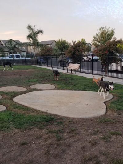 Newman Community Dog Park - Newman, CA
