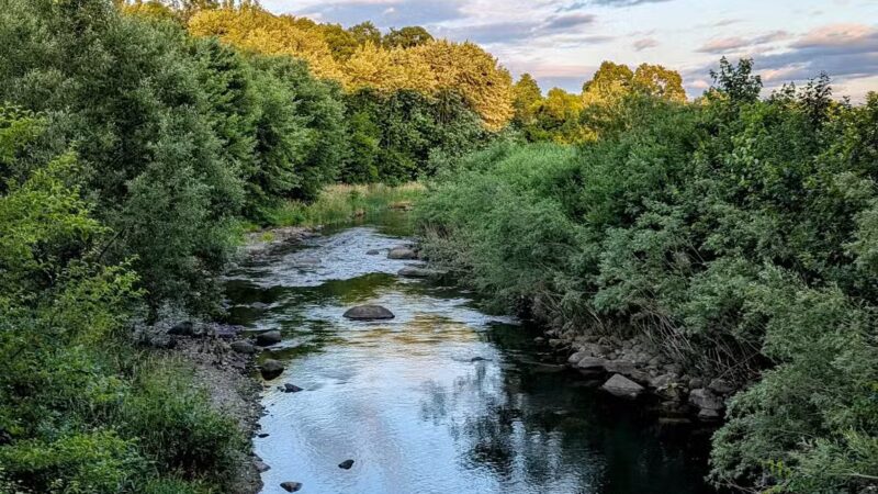 Riverwalk Park - Newport, ME