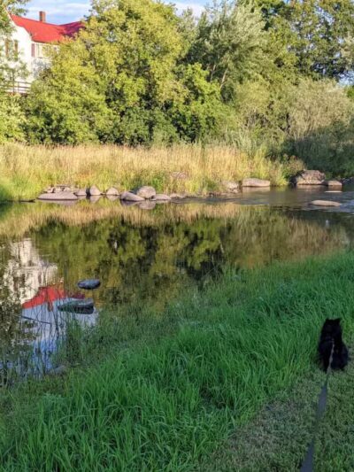 Riverwalk Park - Newport, ME