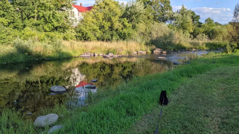 Riverwalk Park - Newport, ME