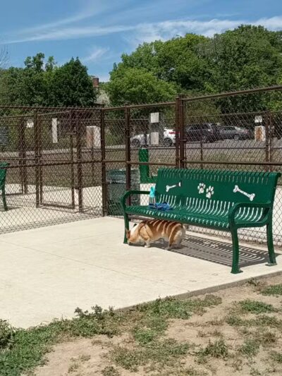 DeVeaux Woods State Park Dog Park - Niagara Falls, NY