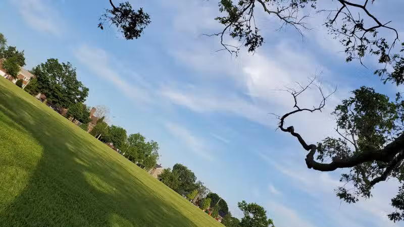 DeVeaux Woods State Park Dog Park - Niagara Falls, NY