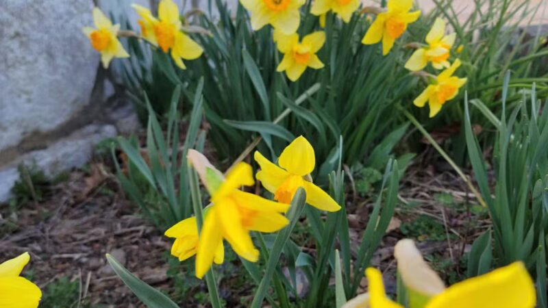 Keith Memorial Park - Nickelsville, VA