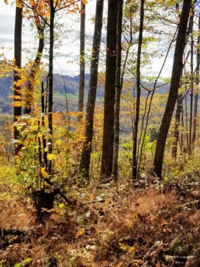 Keith Memorial Park - Nickelsville, VA