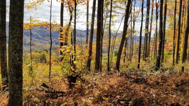 Keith Memorial Park - Nickelsville, VA