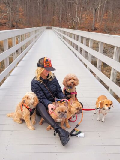 Noelle's Petsitting and Dog Boarding Service - ,