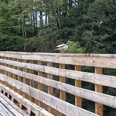 Kennebec Valley Trail Head - Norridgewock, ME