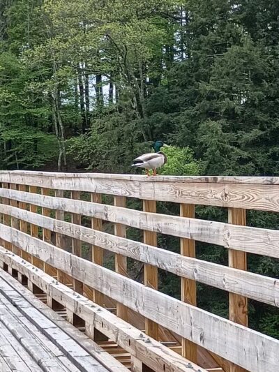 Kennebec Valley Trail Head - Norridgewock, ME