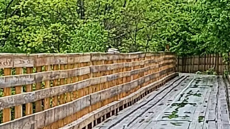 Kennebec Valley Trail Head - Norridgewock, ME