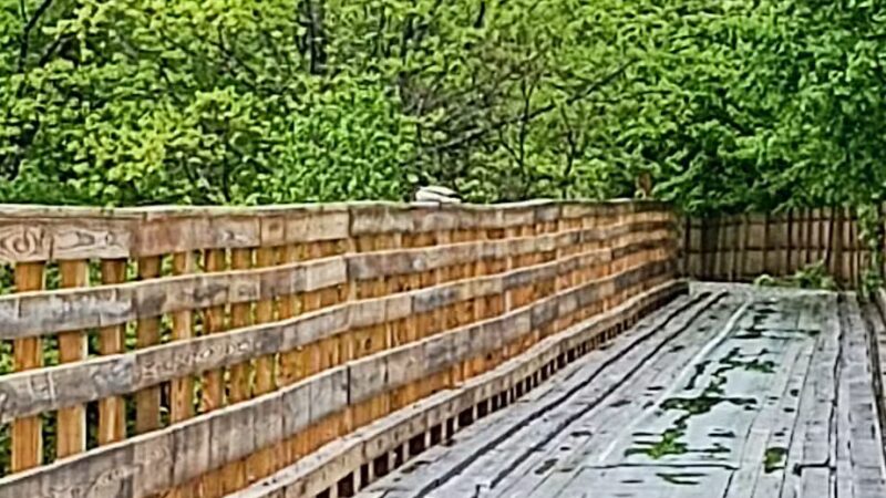 Kennebec Valley Trail Head - Norridgewock, ME