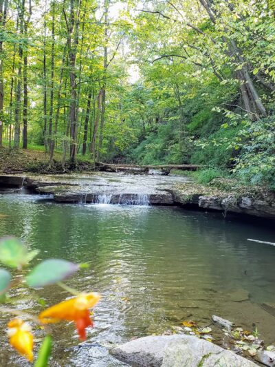 Cedar Creek Park - North Belle Vernon, PA