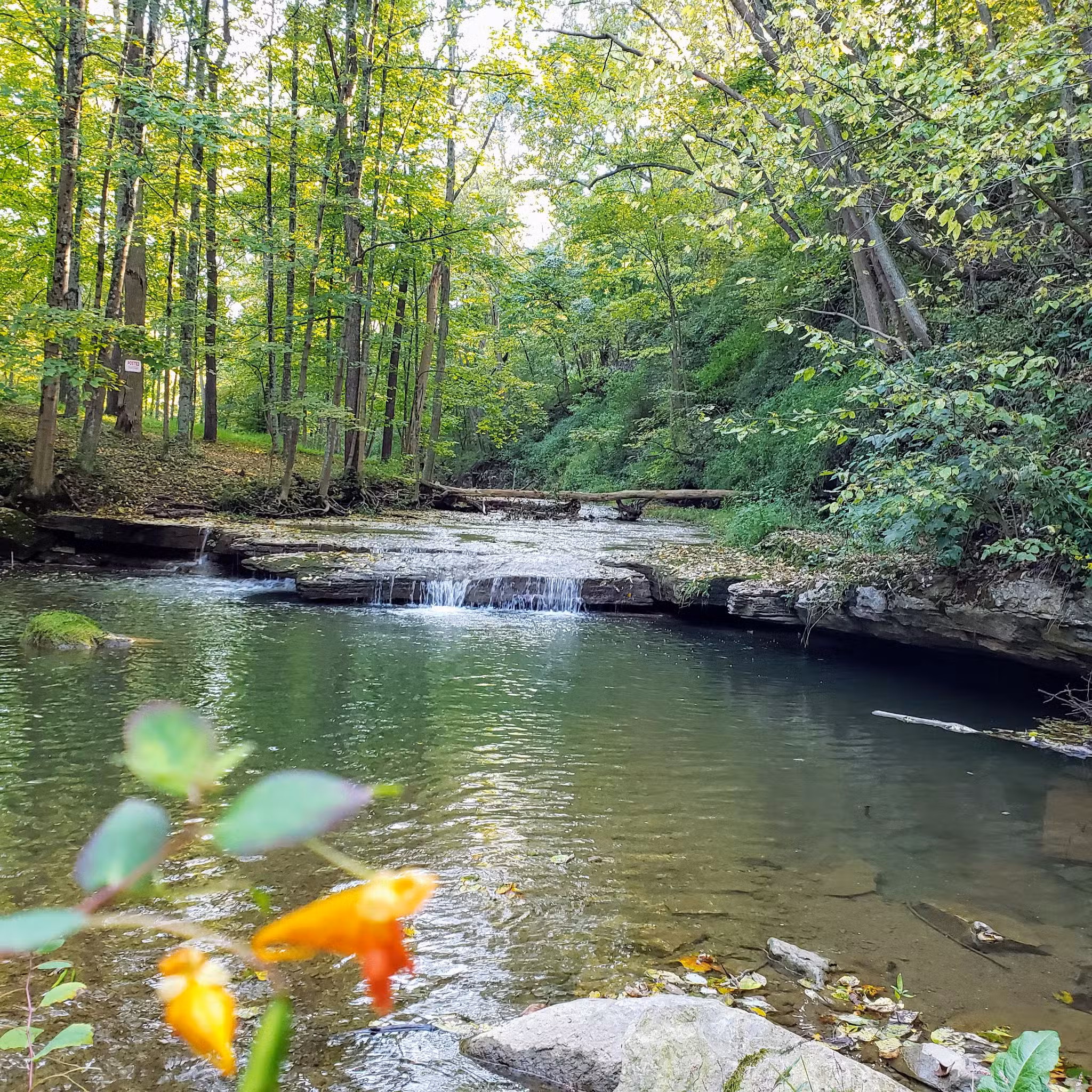Cedar Creek Park - North Belle Vernon, PA