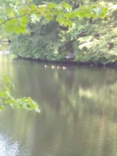 Bruce Abbott Memorial Park - North Berwick, ME
