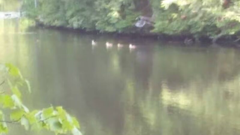 Bruce Abbott Memorial Park - North Berwick, ME