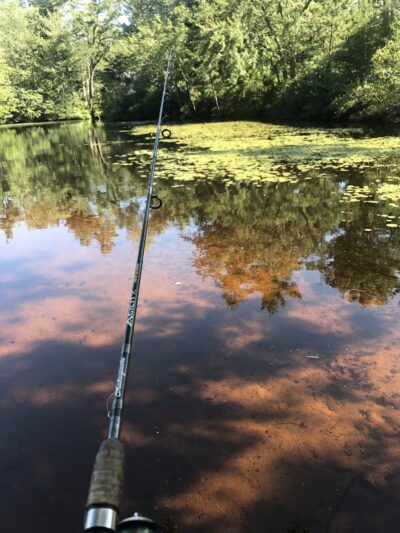 Bruce Abbott Memorial Park - North Berwick, ME