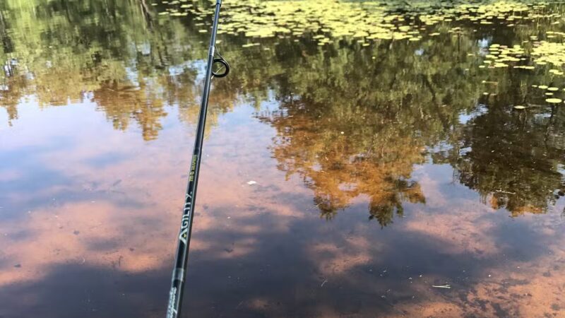 Bruce Abbott Memorial Park - North Berwick, ME