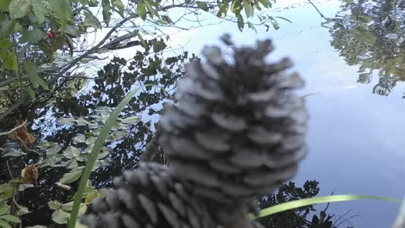Bruce Abbott Memorial Park - North Berwick, ME