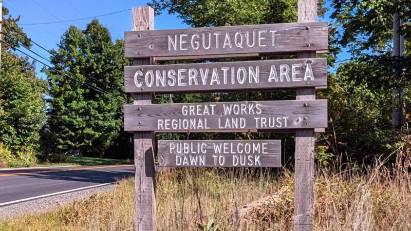 Negutaquet Conservation Area - North Berwick, ME