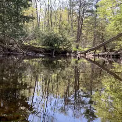 Negutaquet Conservation Area - North Berwick, ME