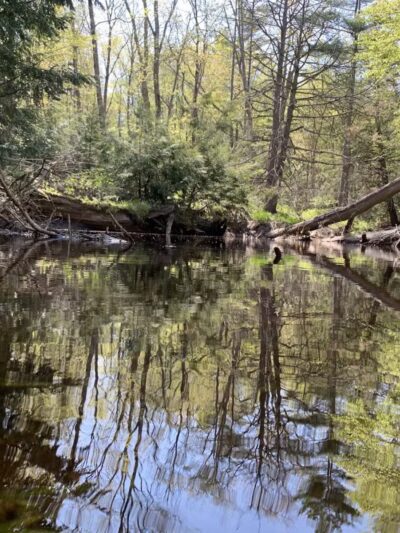 Negutaquet Conservation Area - North Berwick, ME