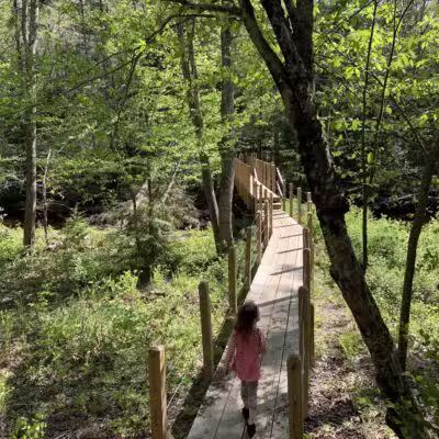 Negutaquet Conservation Area - North Berwick, ME