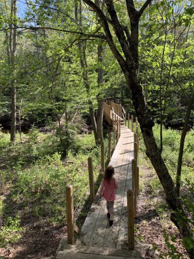 Negutaquet Conservation Area - North Berwick, ME