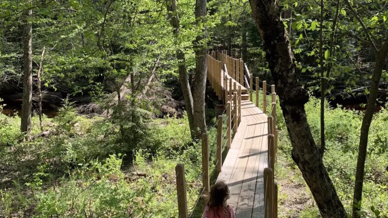 Negutaquet Conservation Area - North Berwick, ME