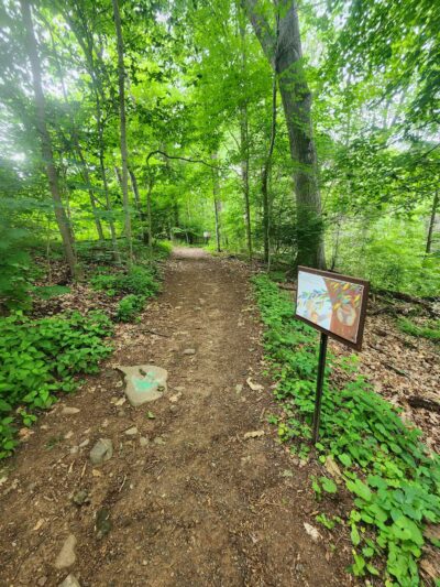 Parking Lot - North Farms Park - North Branford, CT