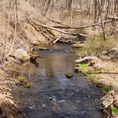 Parking Lot - North Farms Park - North Branford, CT