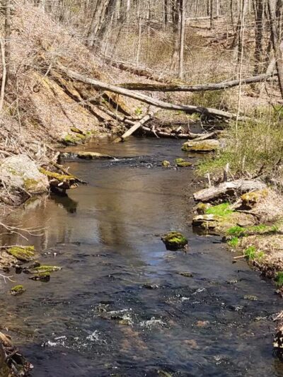 Parking Lot - North Farms Park - North Branford, CT