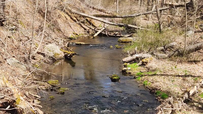Parking Lot - North Farms Park - North Branford, CT