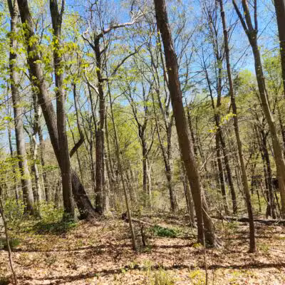 Parking Lot - North Farms Park - North Branford, CT