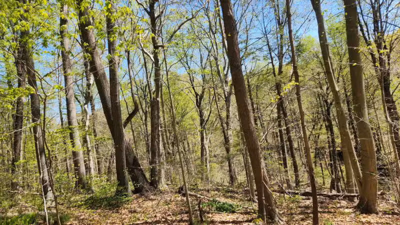 Parking Lot - North Farms Park - North Branford, CT