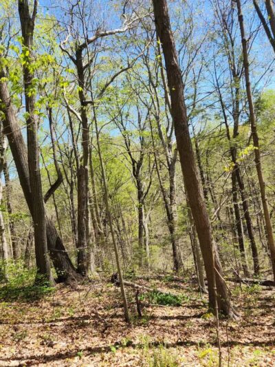 Parking Lot - North Farms Park - North Branford, CT