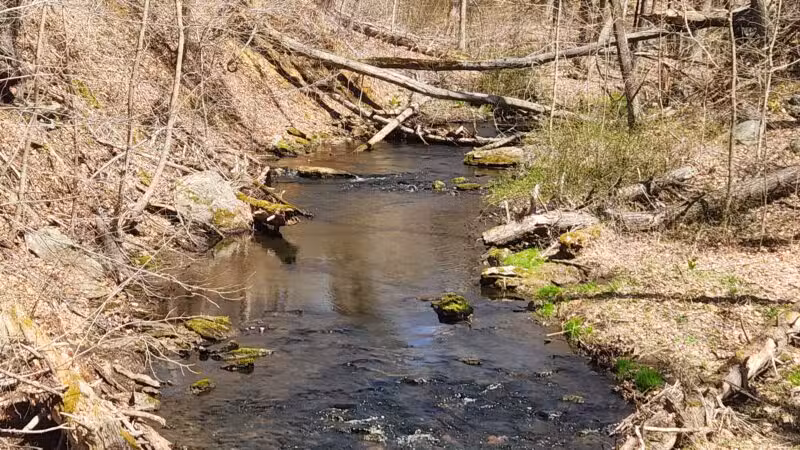 Parking Lot - North Farms Park - North Branford, CT