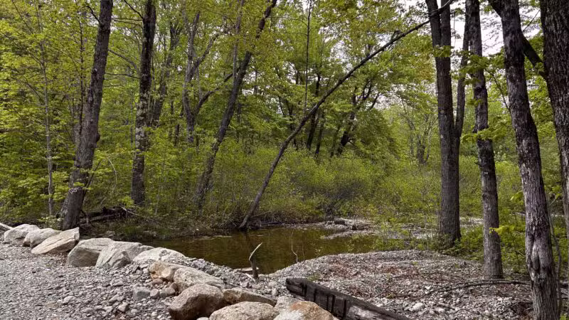 ESI River Walk Trail - North Conway, NH