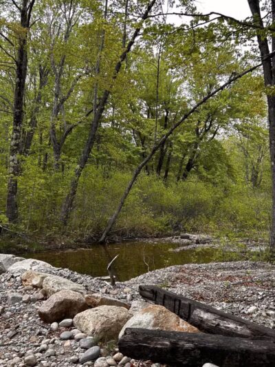 ESI River Walk Trail - North Conway, NH