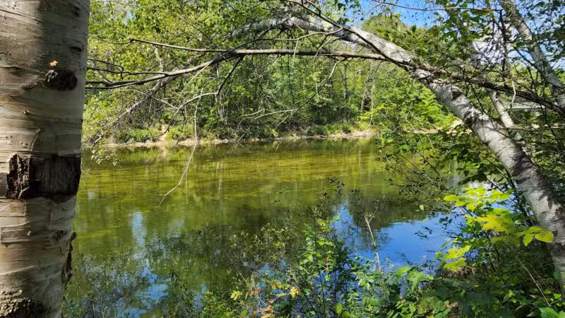 ESI River Walk Trail - North Conway, NH