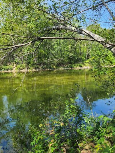 ESI River Walk Trail - North Conway, NH