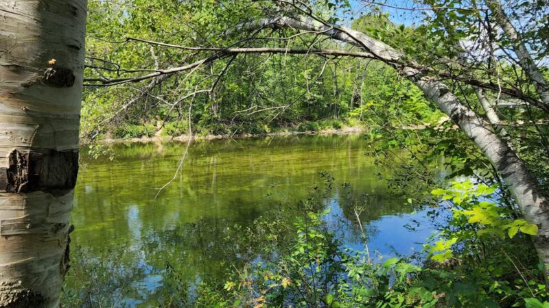 ESI River Walk Trail - North Conway, NH