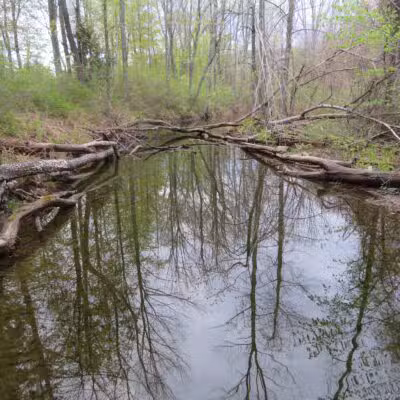 ESI River Walk Trail - North Conway, NH