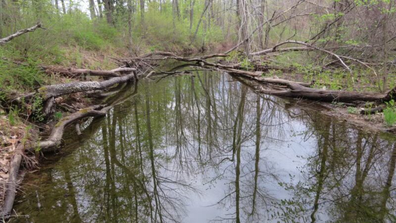 ESI River Walk Trail - North Conway, NH