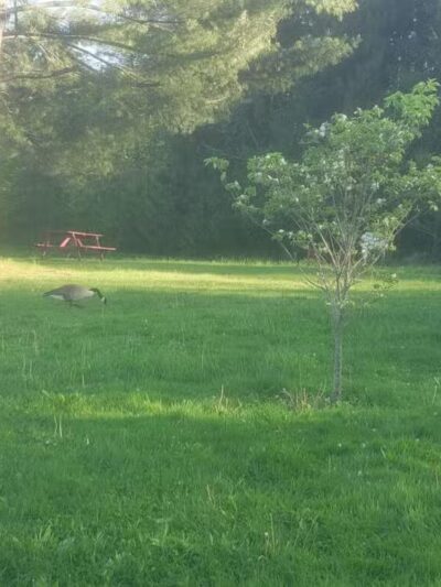 Chapman-Sinoway - North Haven, CT