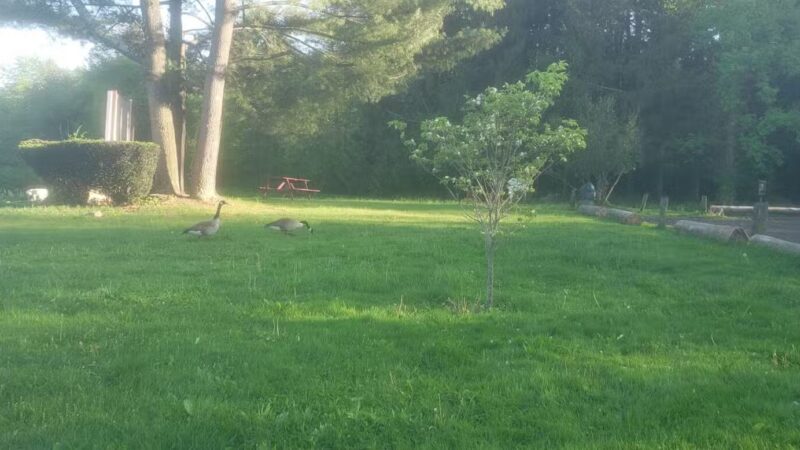 Chapman-Sinoway - North Haven, CT