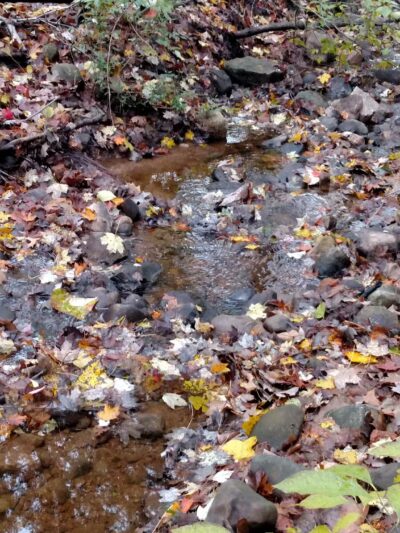 Chapman-Sinoway - North Haven, CT