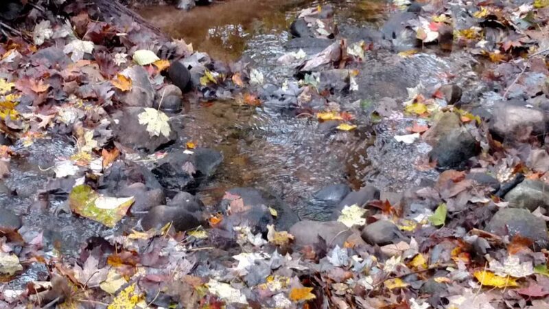 Chapman-Sinoway - North Haven, CT