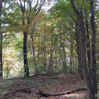Chapman-Sinoway - North Haven, CT