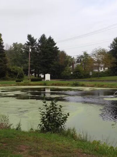 Chapman-Sinoway - North Haven, CT